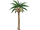 Alolan Exeggutor