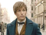 Newt Scamander