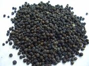 SARAWAK FIELD BLACK PEPPER.jpg