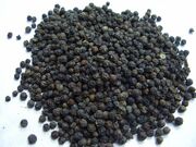 SARAWAK FIELD BLACK PEPPER