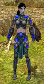 Warder2