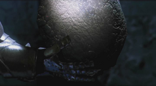 Stone