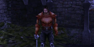 The Lost Rune | Spellforce Wiki | Fandom