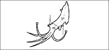 Cuttle Command | Spelljammer Wiki | Fandom