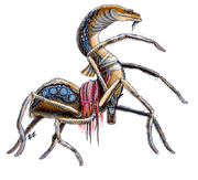 Neogi.gif