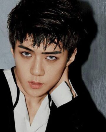 Sehun Oh Thespellthatbinds Wiki Fandom Sehun Oh Thespellthatbinds Wiki Fandom