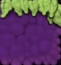 Eggplant World's Block