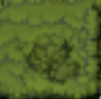 Jungle's Block