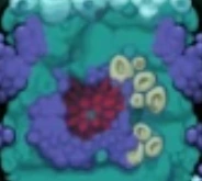 Tide Pool's Block