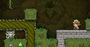 The entrance to the Black Market (center), hidden under a grass tile.