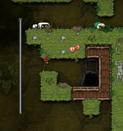 The entrance to Sparrow's Cave in The Jungle.