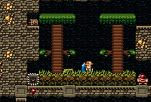JUNGLEZZZZ.png