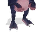 Squirt