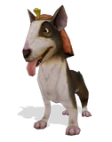 Chihuahua
