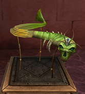 Electric eel museum front.png (456 KB) Electric Eel