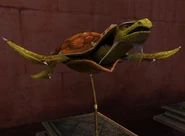 Sea turtle museum angled.png (479 KB) Sea Turtle