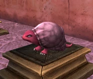 Shell critter museum angled.png (327 KB) Shell Critter