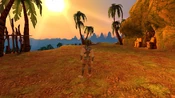 Swamp