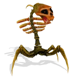 Skeletal Spider