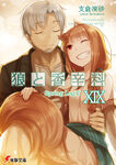 Volume 19 LN JP SW