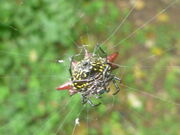 South Africa 2013 234.jpg
