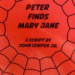 Peter Finds Mary Jane