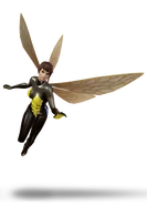 Wasp