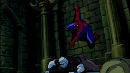 IMG 2556.png