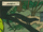 Maravilloso Verde