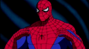 IMG 0265.png