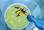 67969789879.png