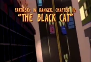 The Black Cat