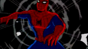 IMG 3624.png