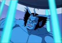 45567.png