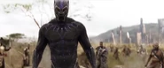 Chadwick Boseman as Black Panther