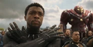 Chadwick Boseman as T'Challa