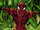 Carnage (Ultimate Spider-Man)