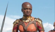 Danai Gurira as Okoye