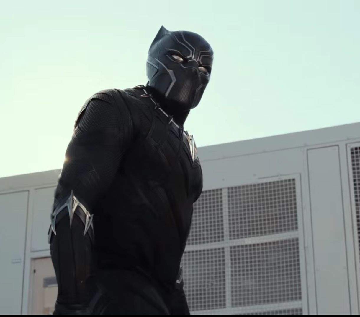 Black Panther (Chadwick Boseman) | Spider-Man Films Wiki | Fandom