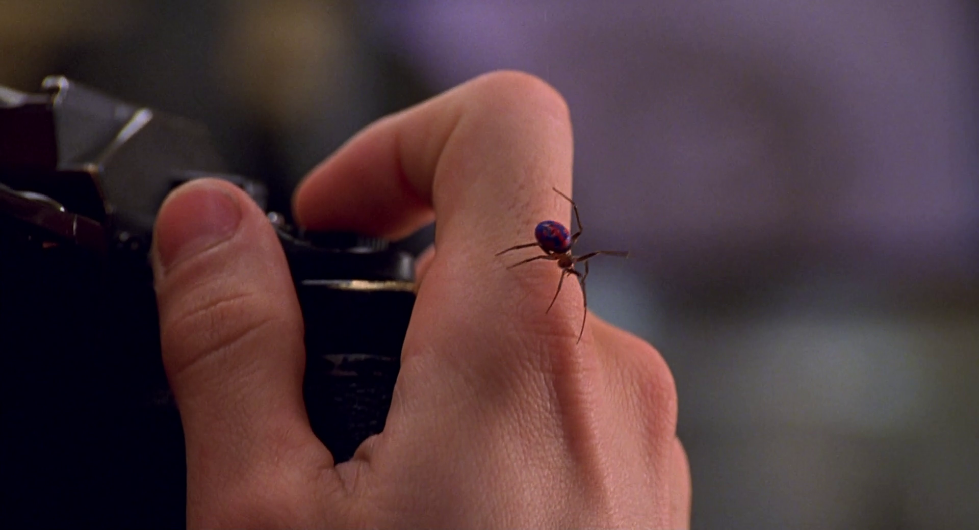 The Spider Bitting Peter.png