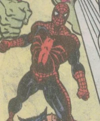 Peter Parker (Spider-Man) of Earth-9105's costume