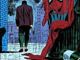 Spider-Man: No More! (Earth-616 storyline)