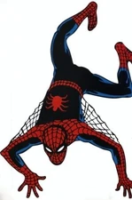 The very first Steve Ditko drawn Spider-Man costume in the mid 1960's