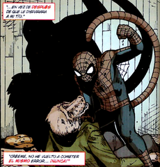 Spider-Monkey vs ladron