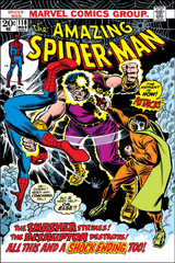 Amazing Spider-Man Vol 1 118