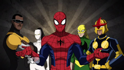 Spider Equipo