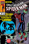 Spectacular Spider-Man Vol 1 163