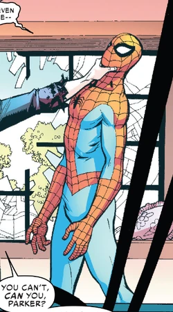 Spider-Man (Peter Parker) (Earth-1983)