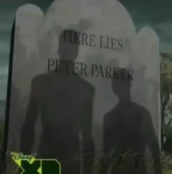 Peter Parker (Earth-TRN457)