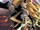 Carol Danvers (Earth-20051)